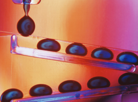 Screenshot_2021-03-17 Standardization of Thermo Scientific LIMS - CS-80032-LIMS-Pharma-Laboratory-Productivity-CS80032-EN pdf(1)