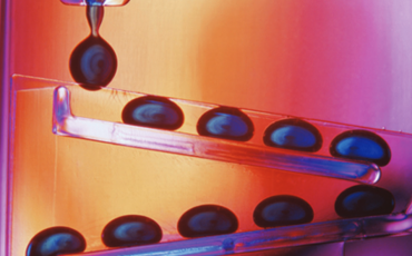 Screenshot_2021-03-17 Standardization of Thermo Scientific LIMS - CS-80032-LIMS-Pharma-Laboratory-Productivity-CS80032-EN pdf(1)