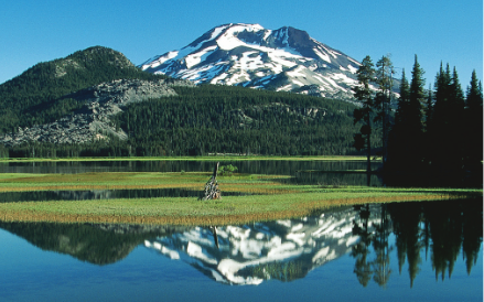 Screenshot_2021-03-17 Water LIMS transforms information management at Nova Biologicals - CS-80031-LIMS-Water-Environment-CS[...](2)