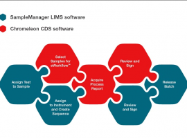 Screenshot_2021-04-13 chromeleonsm_infographic_3-1 jpg (immagine WEBP, 800 × 515 pixel)