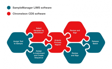 Screenshot_2021-04-13 chromeleonsm_infographic_3-1 jpg (immagine WEBP, 800 × 515 pixel)