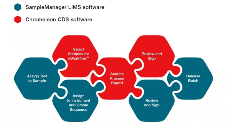Screenshot_2021-04-13 chromeleonsm_infographic_3-1 jpg (immagine WEBP, 800 × 515 pixel)