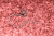 Screenshot_2021-04-13 shutterstock_213889450-1 jpg (immagine JPEG, 500 × 334 pixel)